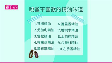 跳蚤 茶樹精油|跳蚤怕什麼氣味？漂白水可殺死跳蚤？消滅跳蚤方法整。